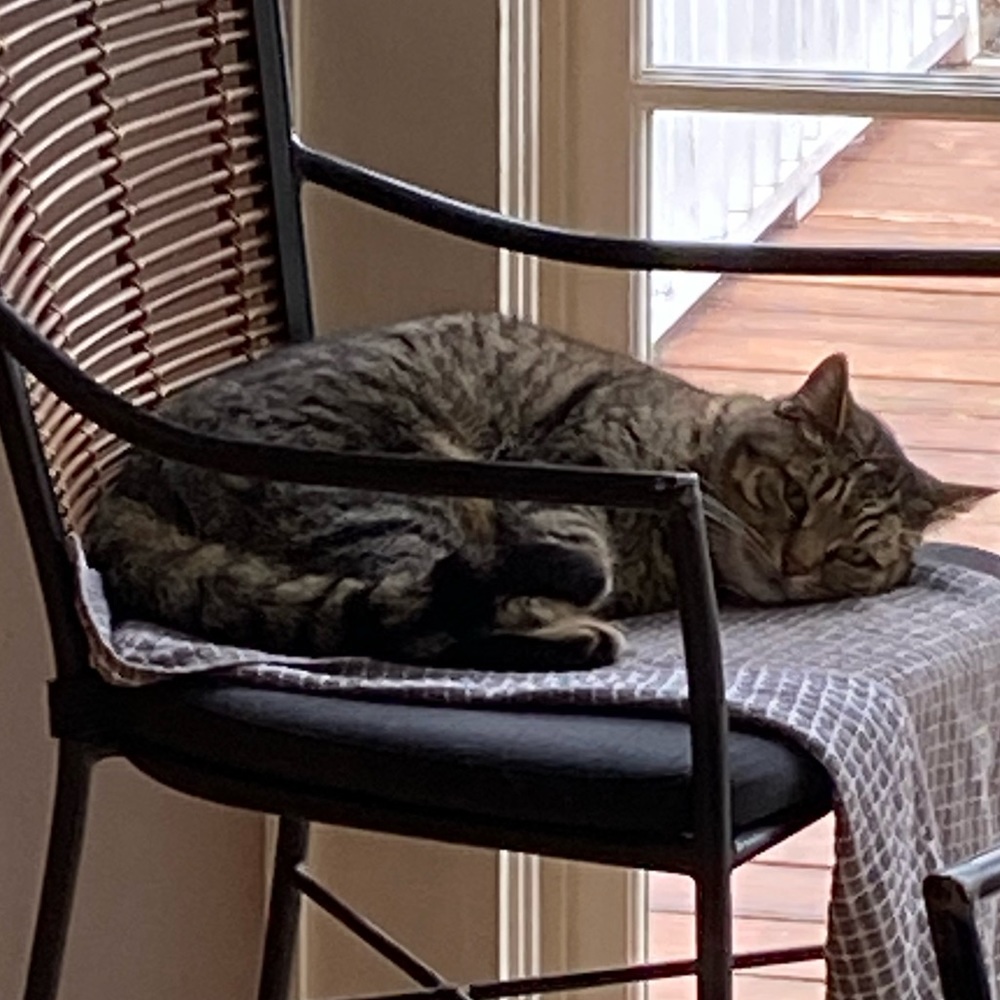 Meet your Posher, Ivan